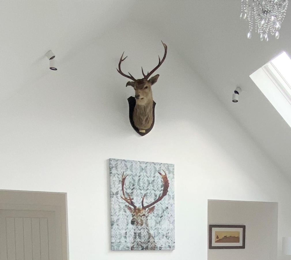 Ben Nevis Scotland Highlands, Camden House Luxury Home Fort William Exteriér fotografie